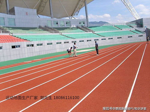 塑胶跑道产品深度解析 特性、类型与工程应用