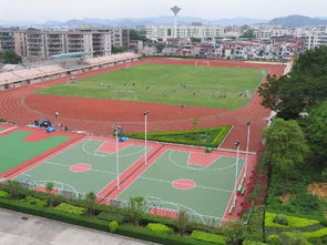 河南乐跑13mm新型优质塑胶跑道 塑胶跑道工程的新标杆