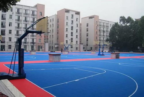 塑胶跑道的详细分类与塑胶球场施工工艺解析