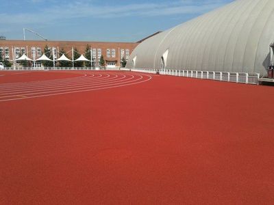混合型颗粒塑胶跑道 卓越性能与环保材料的完美结合